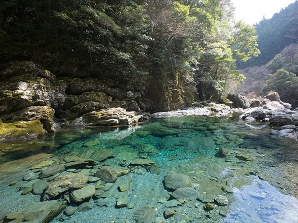仁淀川の淵。岩と森に囲まれた、底の石まで見える澄んだ青緑の水